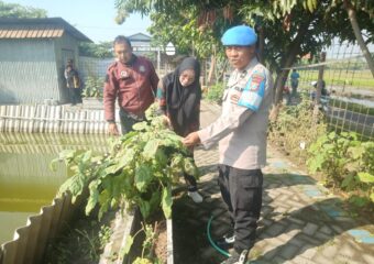 img 20250504 wa0139