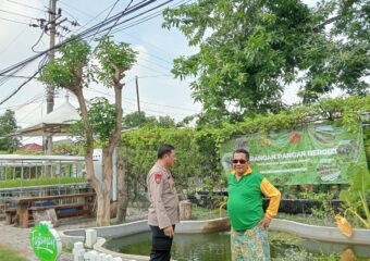 img 20250504 wa0126