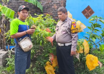 img 20250505 wa0139