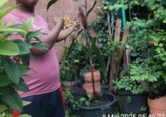 img 20250508 wa0027