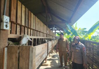 img 20250505 wa0159