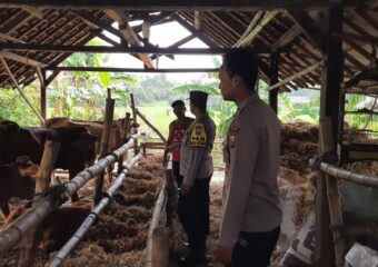 img 20250504 wa0134