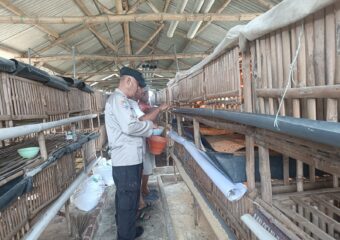 img 20250502 wa0208