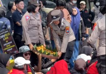 img 20250502 wa0058